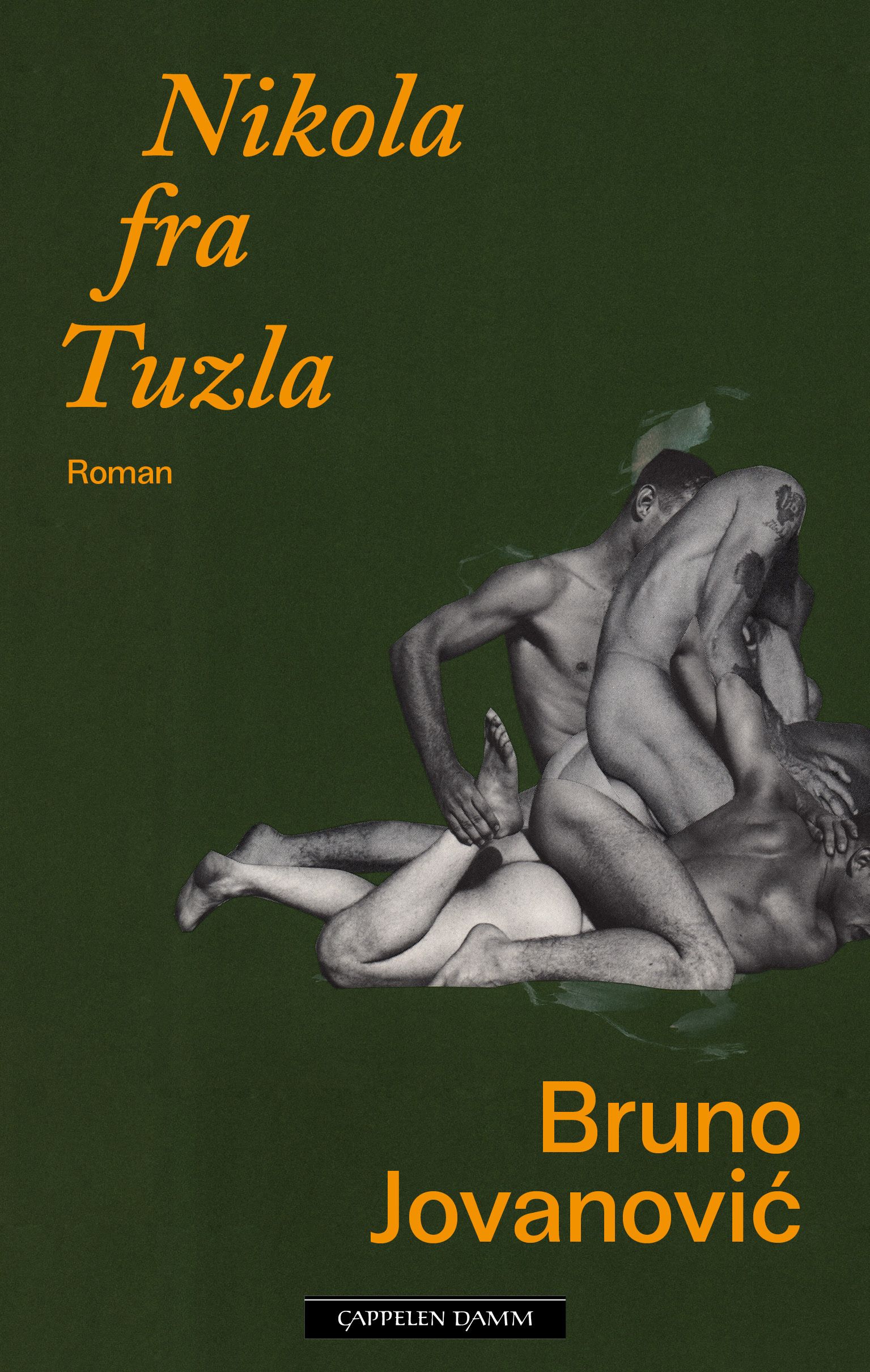 Nikola fra Tuzla