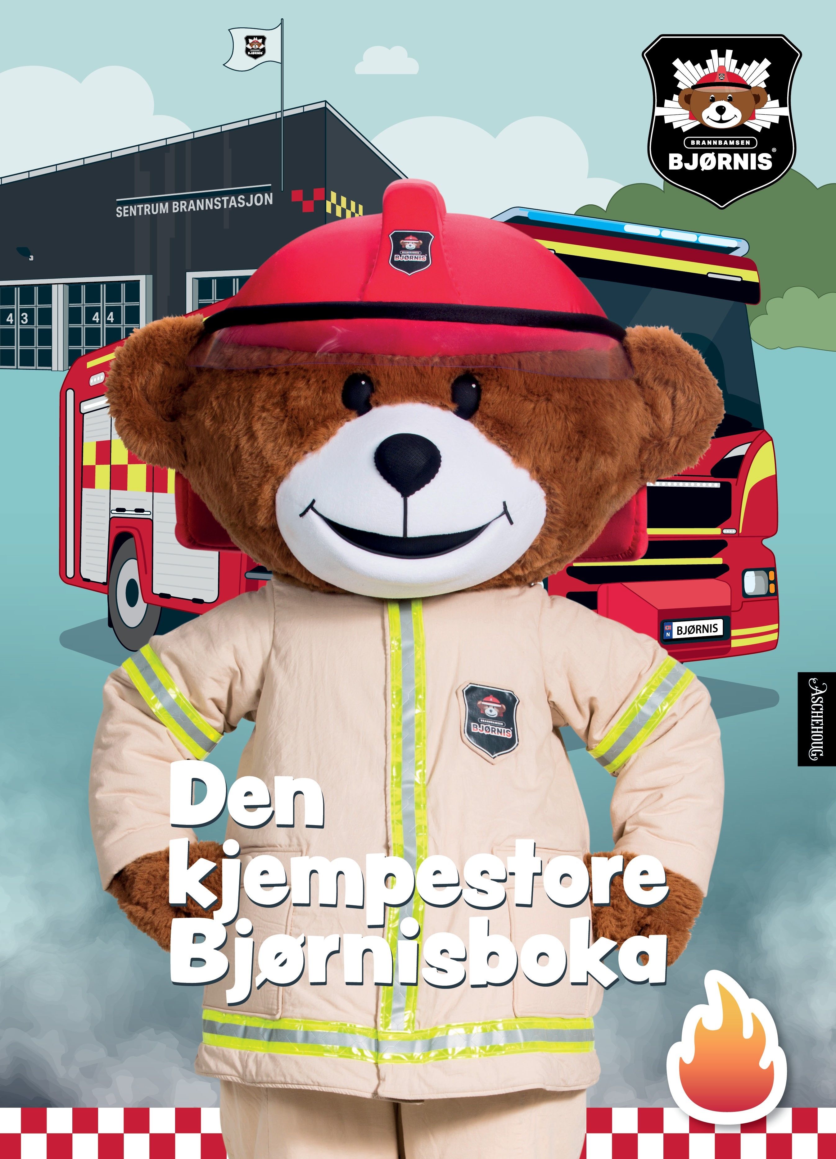 Den kjempestore Bjørnis-boka