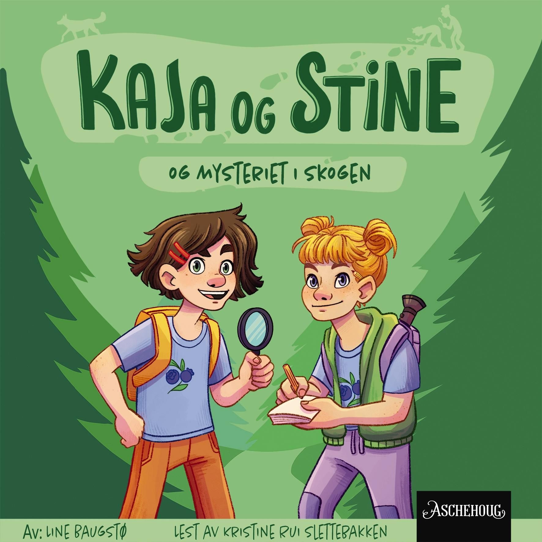 Kaja og Stine og mysteriet i skogen