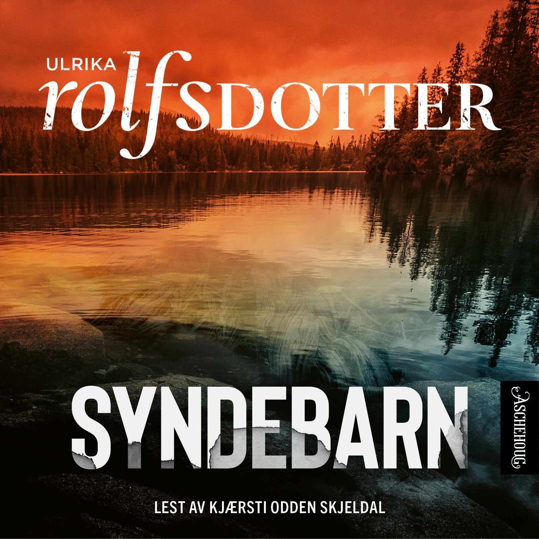 Syndebarn