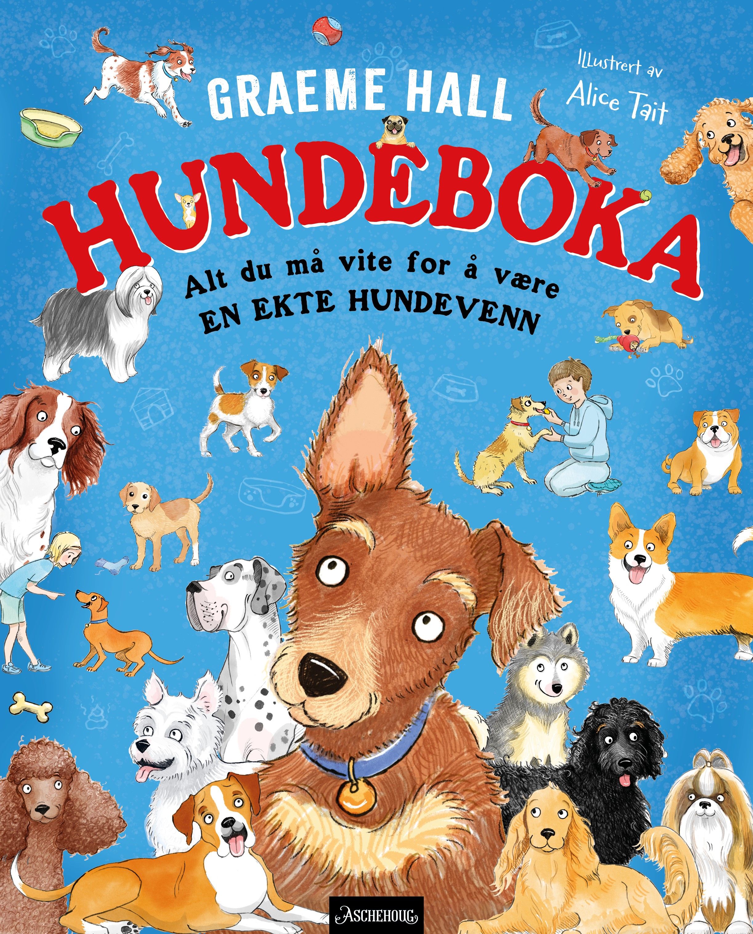 Hundeboka - alt du må vite for å være en ekte hundevenn