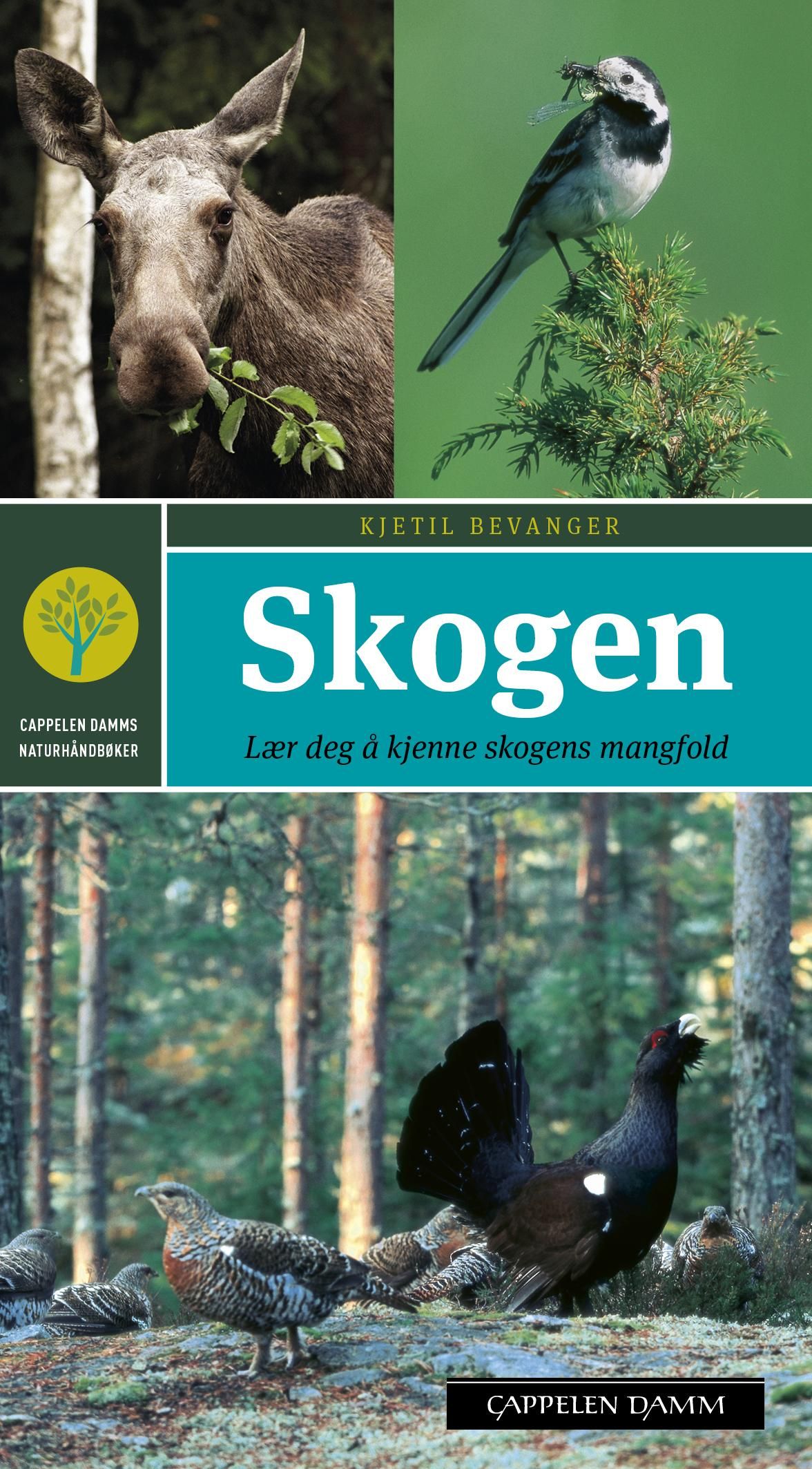 Skogen - lær deg å kjenne skogens mangfold