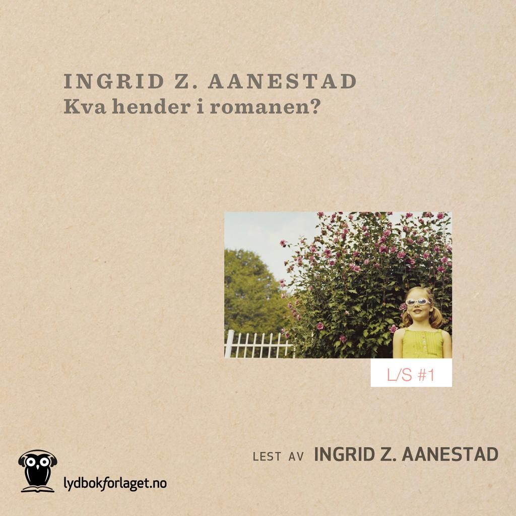 Kva hender i romanen?