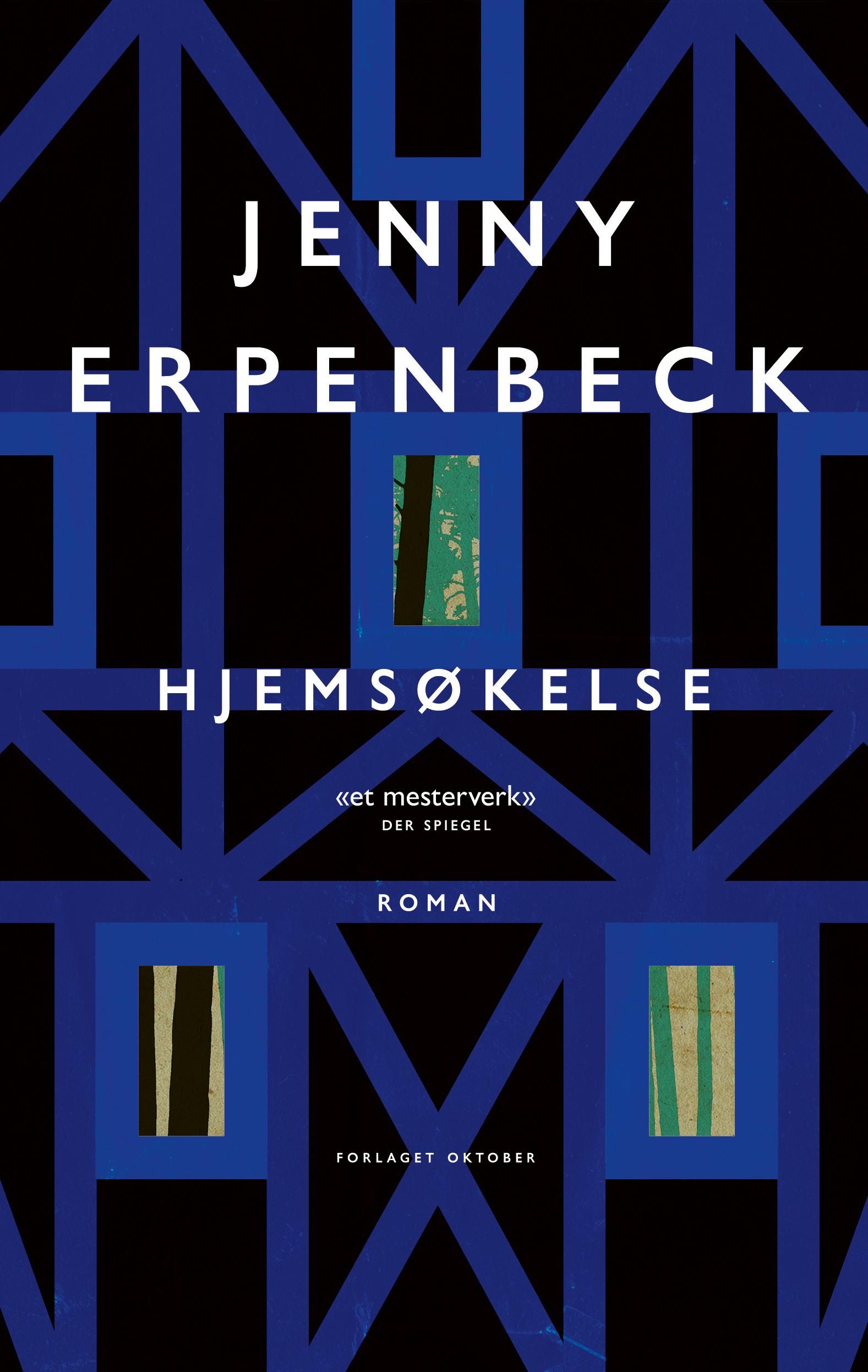 Hjemsøkelse - roman