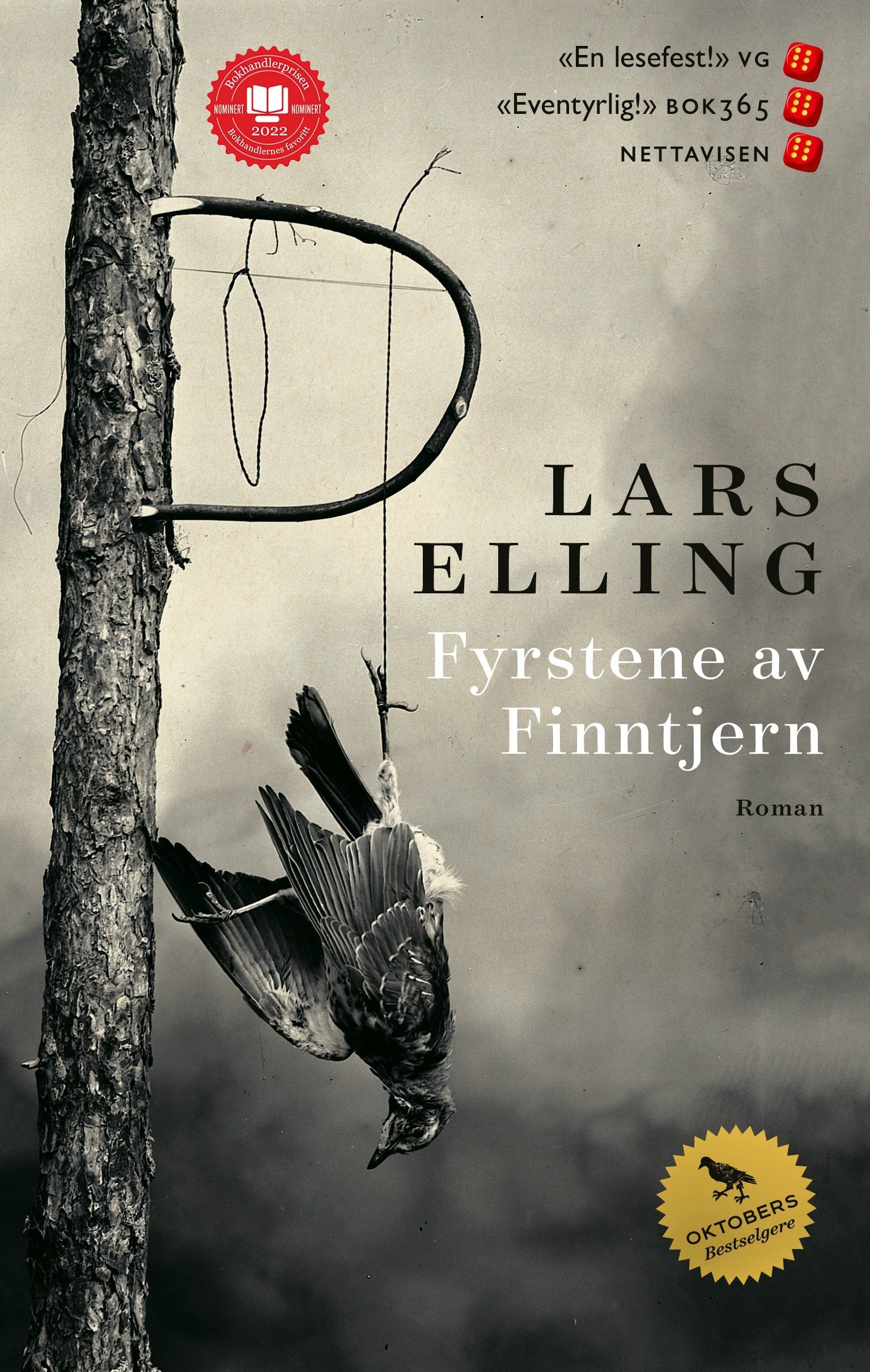 Fyrstene av Finntjern - Roman