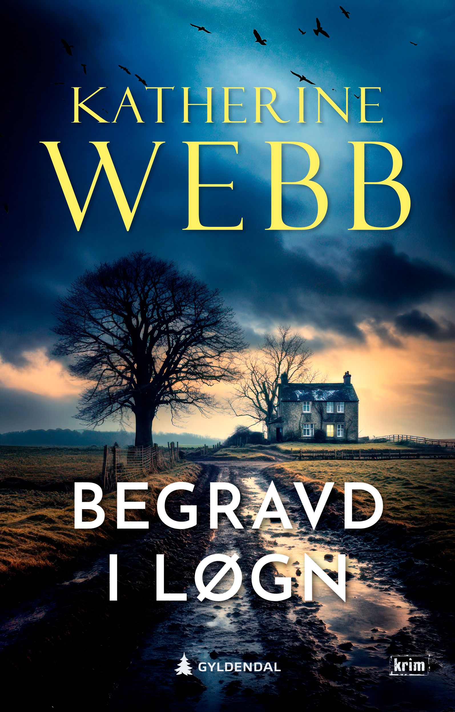 Begravd i løgn - kriminalroman