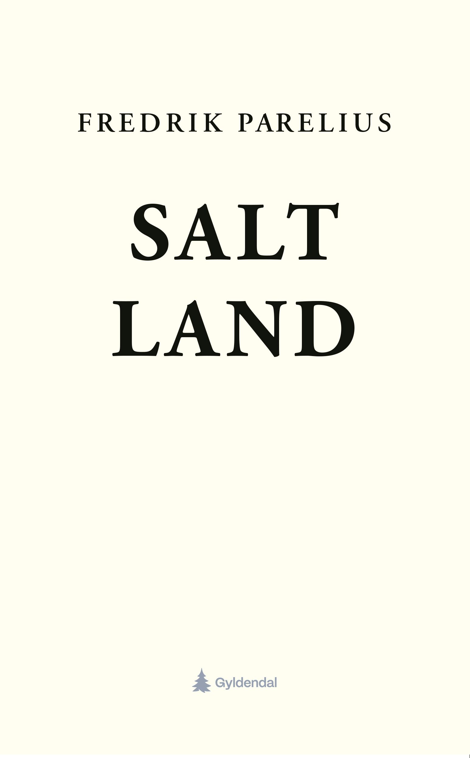 Salt/Land - dikt