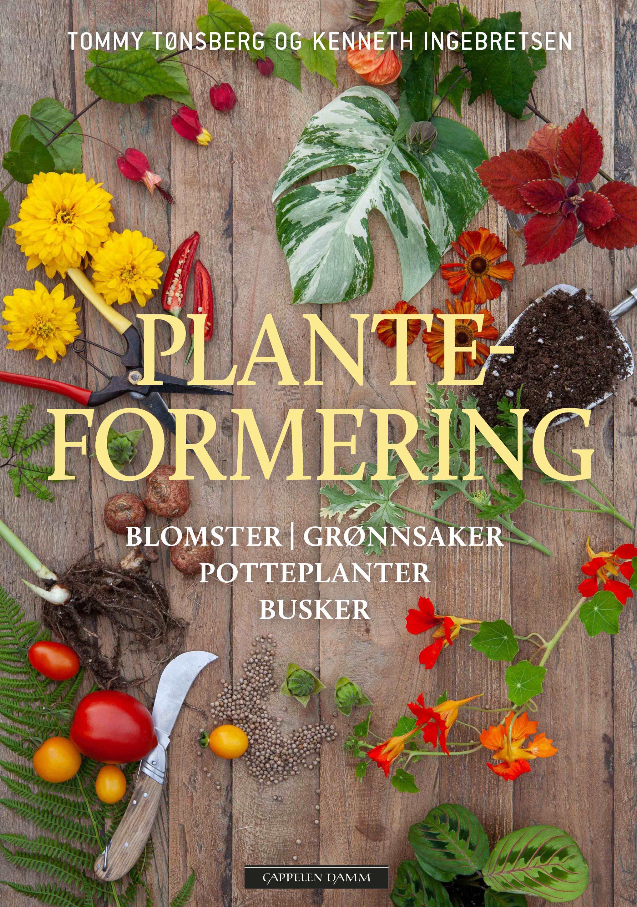 Planteformering - blomster, grønnsaker, potteplanter, busker