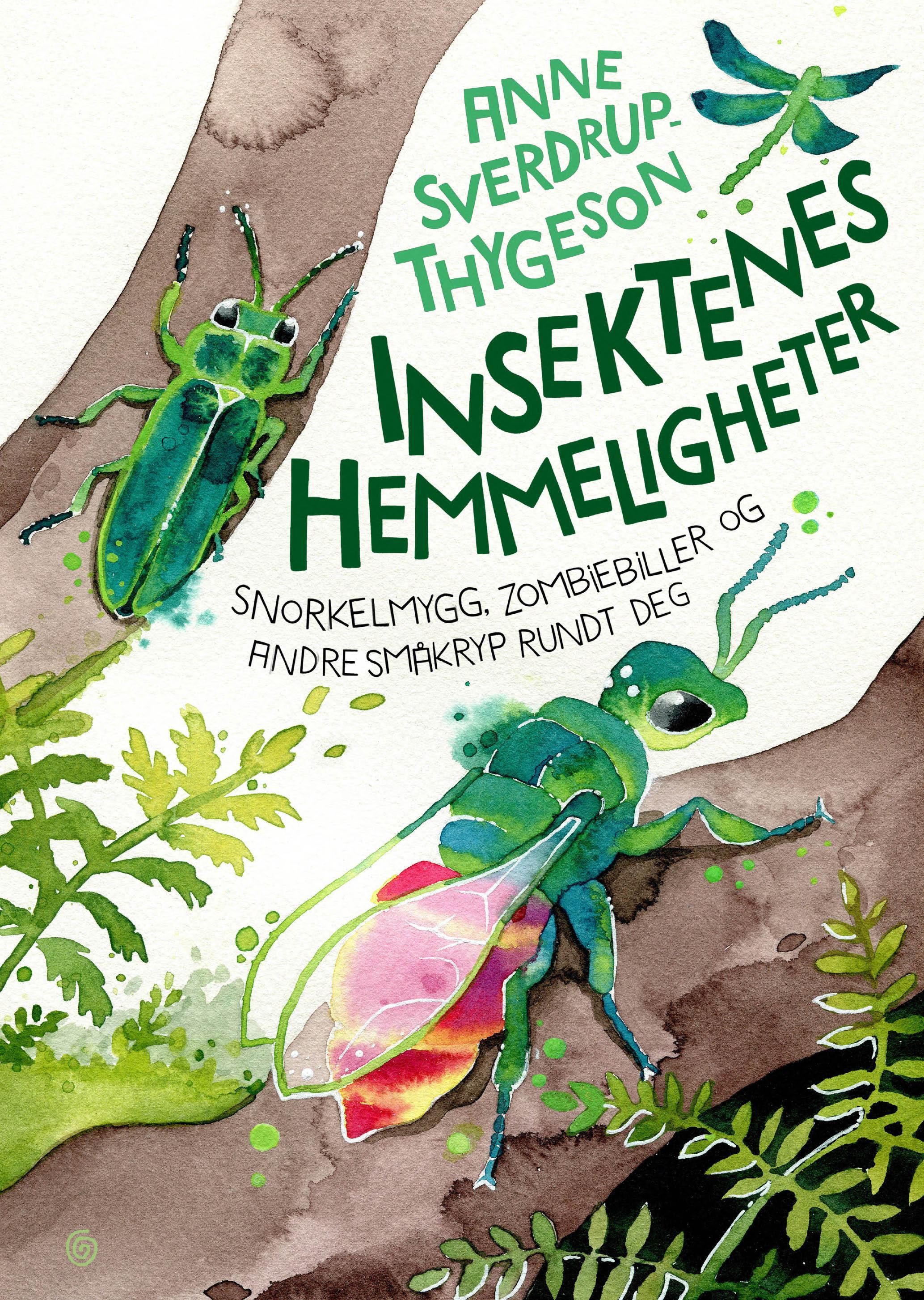 Insektenes hemmeligheter - snorkelmygg, zombiebiller og andre småkryp rundt deg