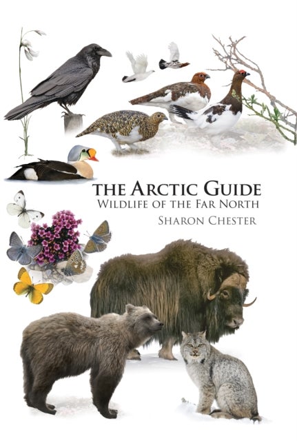 The Arctic Guide - Wildlife of the Far North