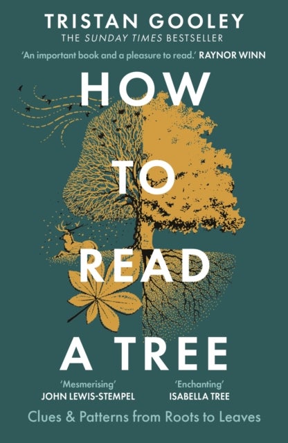 How to Read a Tree - A must-have for all nature lovers - perfect reading for your springtime adventures