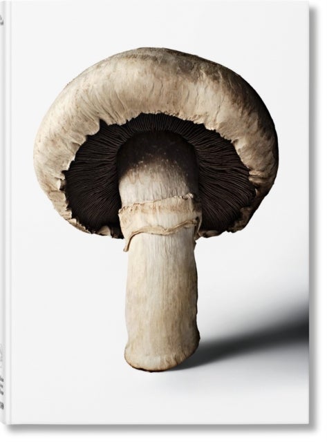 The Gourmand's Mushroom - A Collection of Stories & Recipes