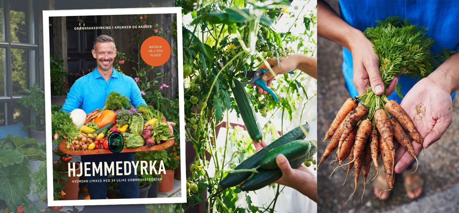 Hjemmedyrka er boken for deg som vil lykkes med matauk på liten plass.