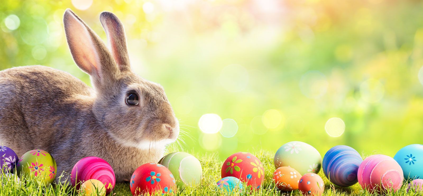 Påsketradisjon: Haren og egget symboliserer fruktbarhet! Foto: Adobe Stock