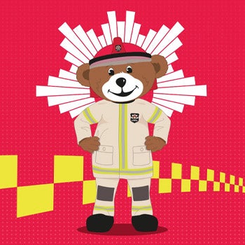 Bjørnis bokserie Bjørnis bokserie