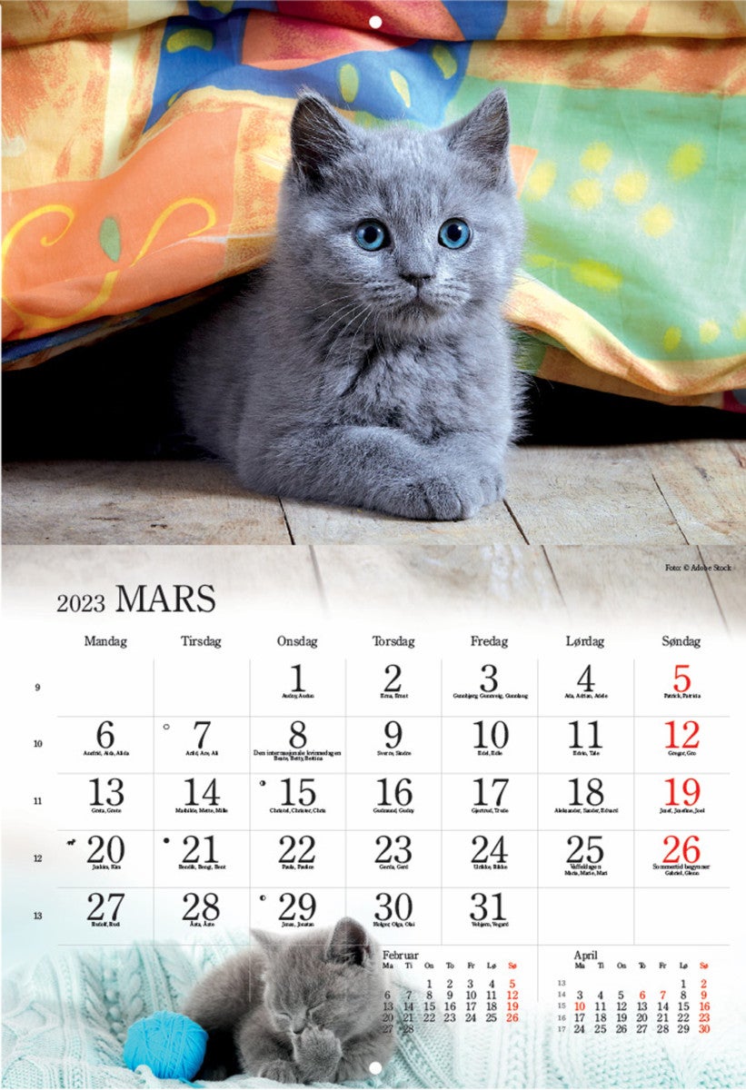 Kalender 2023 Katter Norli Bokhandel