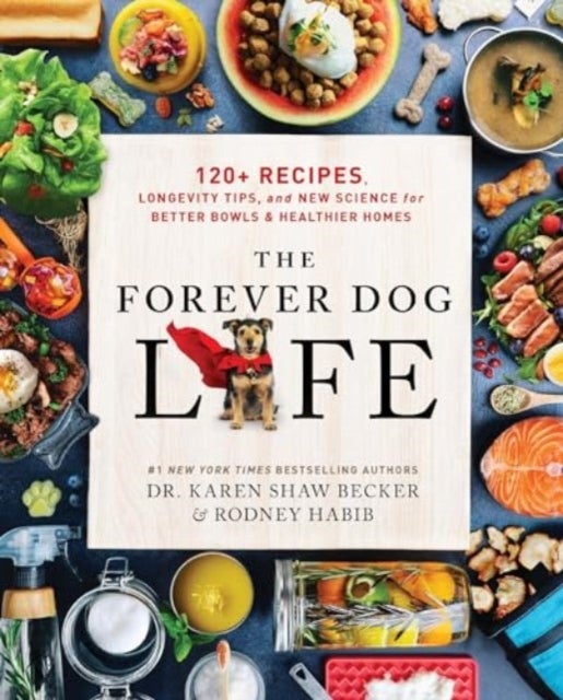 Bilde av The Forever Dog Life Av Rodney Habib, Karen Shaw Becker