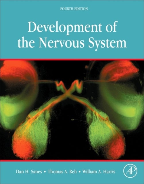 Bilde av Development Of The Nervous System Av Dan H. (professor Center For Neural Science And Department Of Biology New York University Ny Usa) Sanes, Thomas A