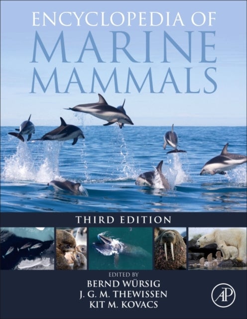 Bilde av Encyclopedia Of Marine Mammals