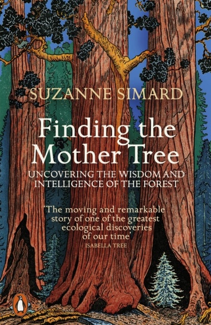 Bilde av Finding The Mother Tree Av Suzanne Simard