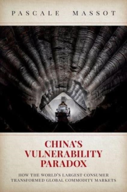 Bilde av China&#039;s Vulnerability Paradox Av Pascale (assistant Professor Assistant Professor University Of Ottawa&#039;s School Of Political Studies) Massot