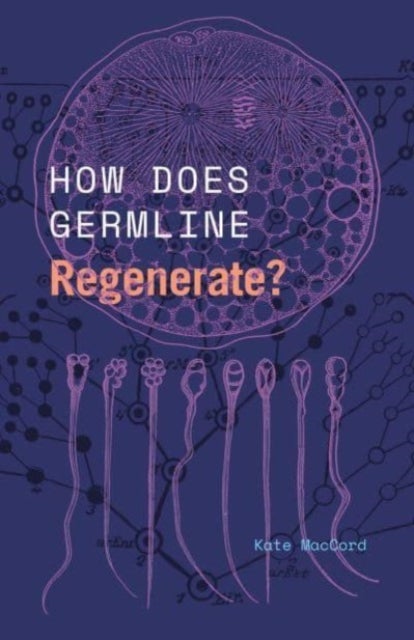Bilde av How Does Germline Regenerate? Av Kate Maccord