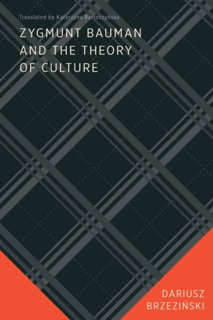 Bilde av Zygmunt Bauman And The Theory Of Culture Av Dariusz Brzezinski