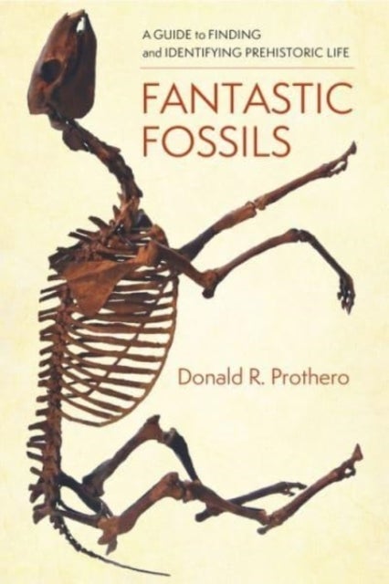Bilde av Fantastic Fossils Av Donald R. Prothero