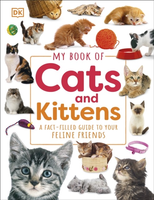 Bilde av My Book Of Cats And Kittens Av Dk
