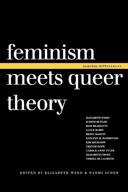 Bilde av Feminism Meets Queer Theory