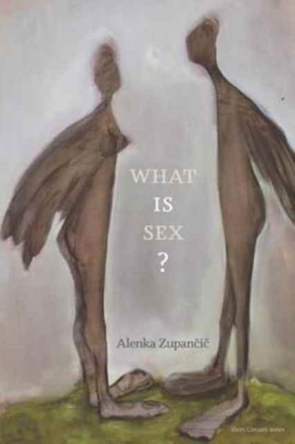 Bilde av What Is Sex? Av Alenka (senior Research Fellow Filozofski Institut Zrc Sazu) Zupancic