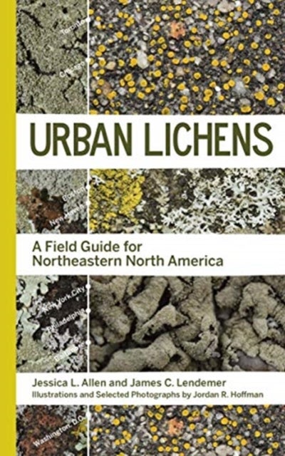 Bilde av Urban Lichens Av Jessica L Allen, James C Lendemer