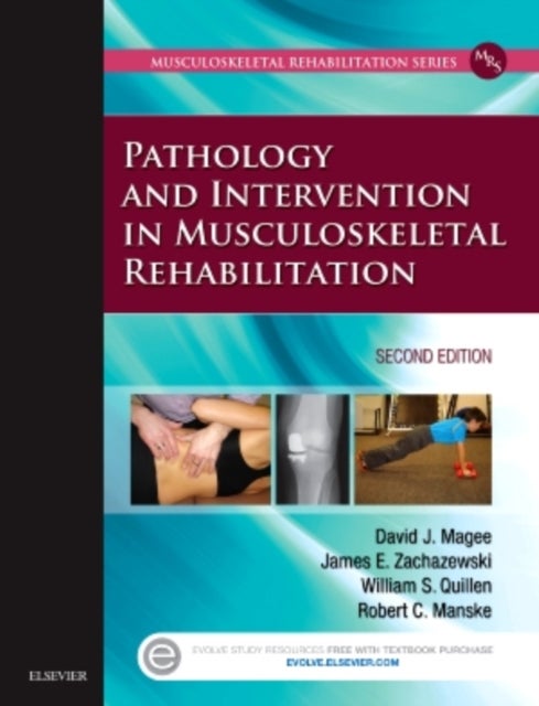 Bilde av Pathology And Intervention In Musculoskeletal Rehabilitation Av David J. (professor &lt;br&gt;department Of Physical Therapy&lt;br&gt;faculty Of Rehab