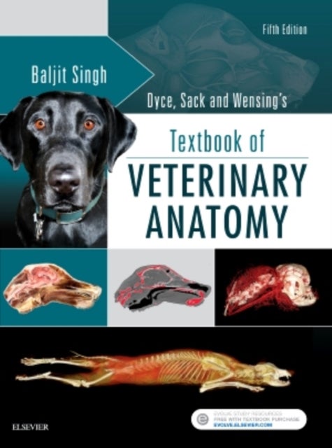 Bilde av Dyce, Sack, And Wensing&#039;s Textbook Of Veterinary Anatomy Av Baljit (dean And Professor Faculty Of Veterinary Medicine At University Of Calgary) S