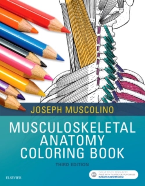 Bilde av Musculoskeletal Anatomy Coloring Book Av Joseph E. (instructor Purchase College Muscolino