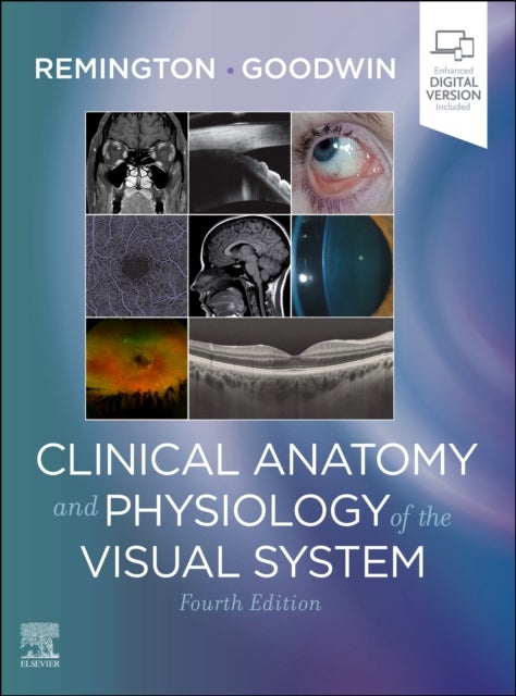 Bilde av Clinical Anatomy And Physiology Of The Visual System Av Lee Ann (associate Professor Of Optometry Pacific University College Of Optometry Forest Grove