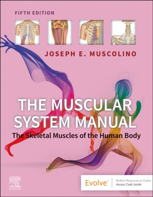 Bilde av The Muscular System Manual Av Joseph E. (instructor Purchase College State University Of New York Purchase New York Muscolino, The Art And Science Of