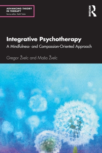 Bilde av Integrative Psychotherapy Av Gregor Zvelc, Masa Zvelc