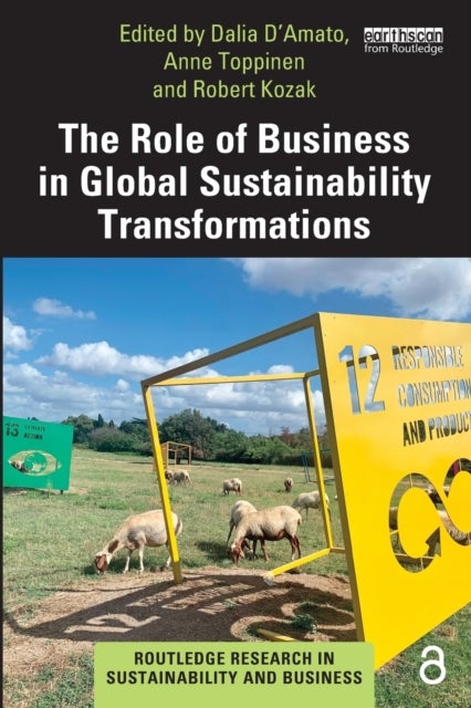 Bilde av The Role Of Business In Global Sustainability Transformations
