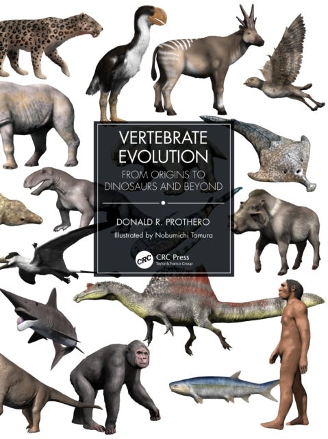 Bilde av Vertebrate Evolution Av Donald R. Prothero