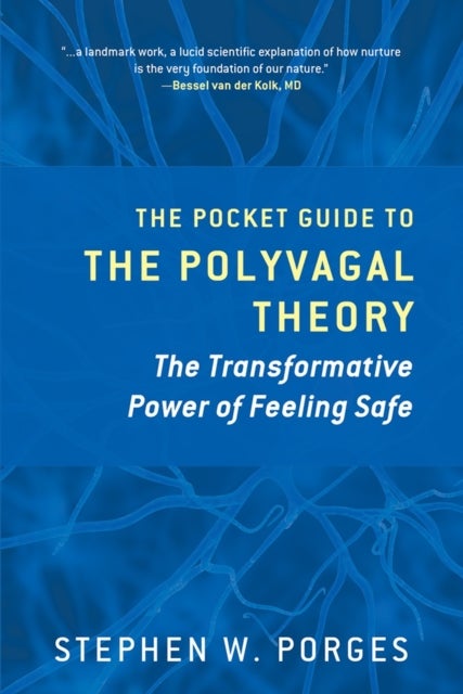 Bilde av The Pocket Guide To The Polyvagal Theory Av Stephen W. (university Of North Carolina) Porges