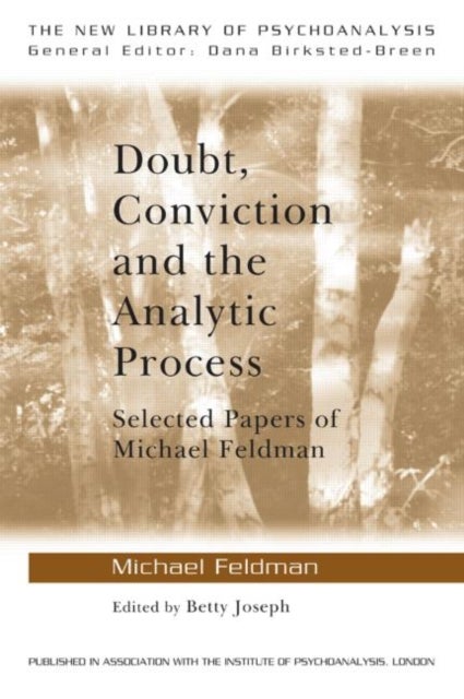 Bilde av Doubt, Conviction And The Analytic Process Av Michael Feldman