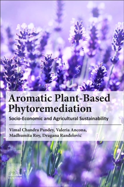 Bilde av Aromatic Plant-based Phytoremediation