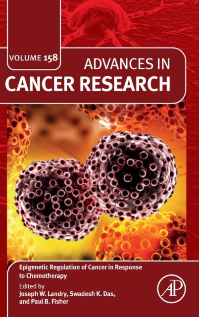 Bilde av Epigenetic Regulation Of Cancer In Response To Chemotherapy