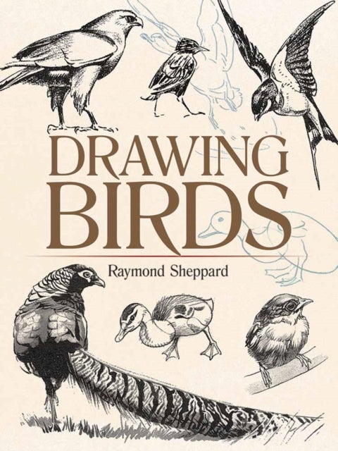 Bilde av Drawing Birds Av Raymond Sheppard