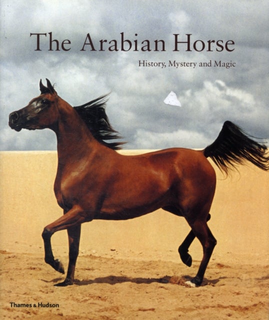 Bilde av The Arabian Horse