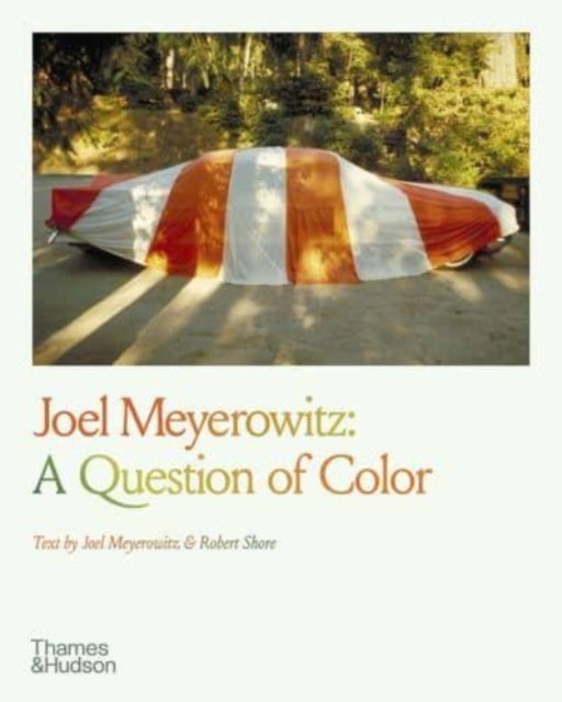Bilde av Joel Meyerowitz: A Question Of Color Av Joel Meyerowitz