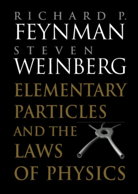 Bilde av Elementary Particles And The Laws Of Physics Av Richard P. Feynman, Steven (university Of Texas Austin) Weinberg