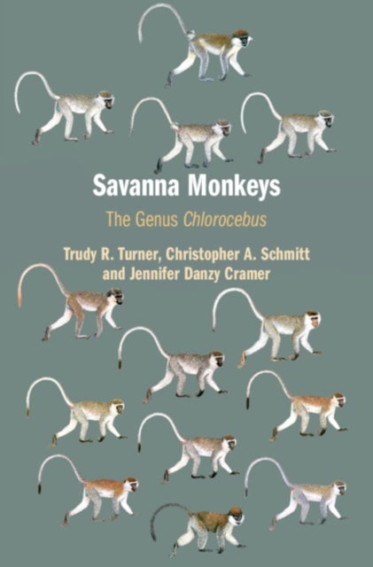 Bilde av Savanna Monkeys Av Trudy R. (university Of Wisconsin Milwaukee) Turner, Christopher A. (boston University) Schmitt, Jennifer Danzy Cramer