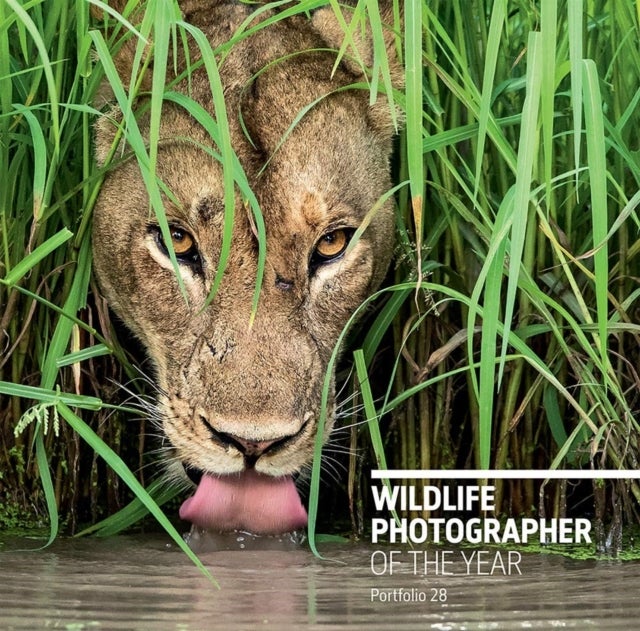 Bilde av Wildlife Photographer Of The Year: Portfolio 28